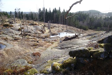 Another shot of alpine tarn in Peter Korn's garden