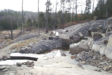 View of Peter Korn's rock garden