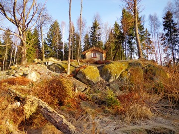 Cottage at top of Peter Korn's garden