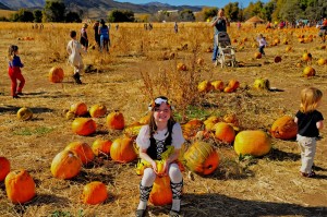 Pumkin Festival Volunteer