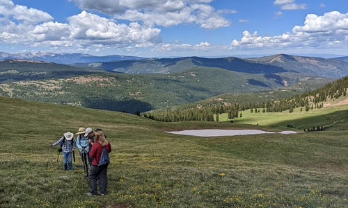 alpine intern thumbnail