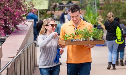 A couple holds a flat of seedlings