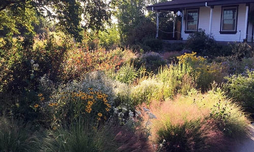 prairie garden thumbnail