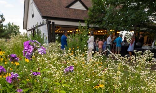 Prairie Garden thumbnail