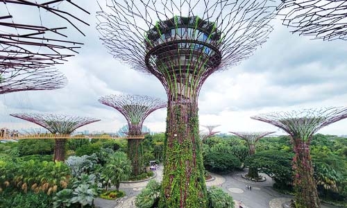 Supertree in Gardens by the Bay thumbnail image