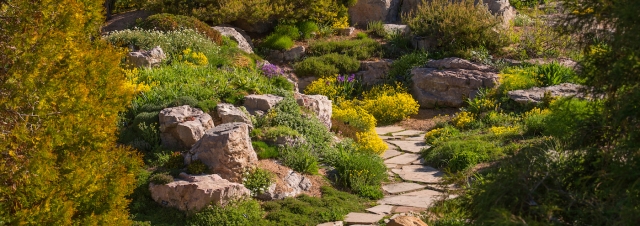 Rock Alpine Garden