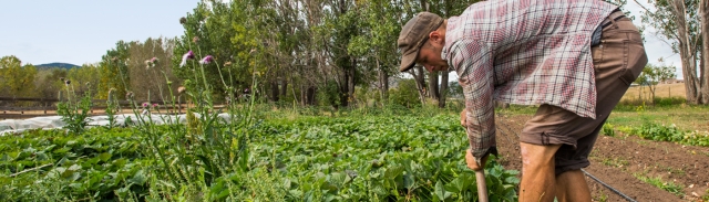 Veterans Farm Program at Chatfield Farms