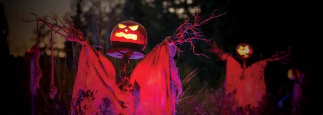 Scarecrows at night with glowing pumpkin heads and stick arms. White cloth is draped over the stick arms.